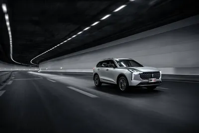 9227065_300